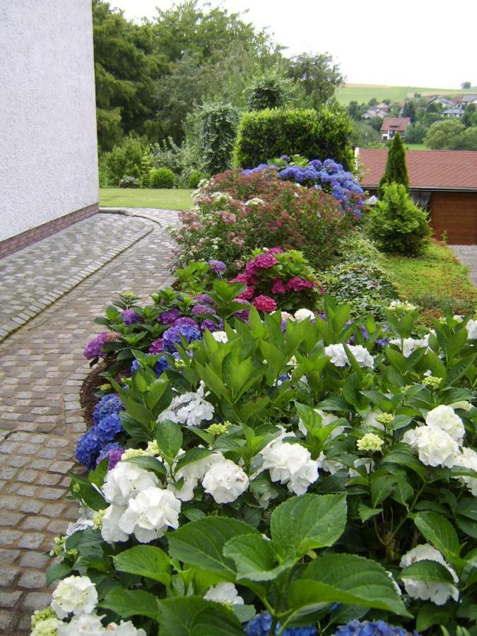 Ferienwohnung "Am Fuchsgraben" Tholey 外观 照片